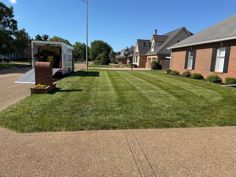 Lawn Fertilization