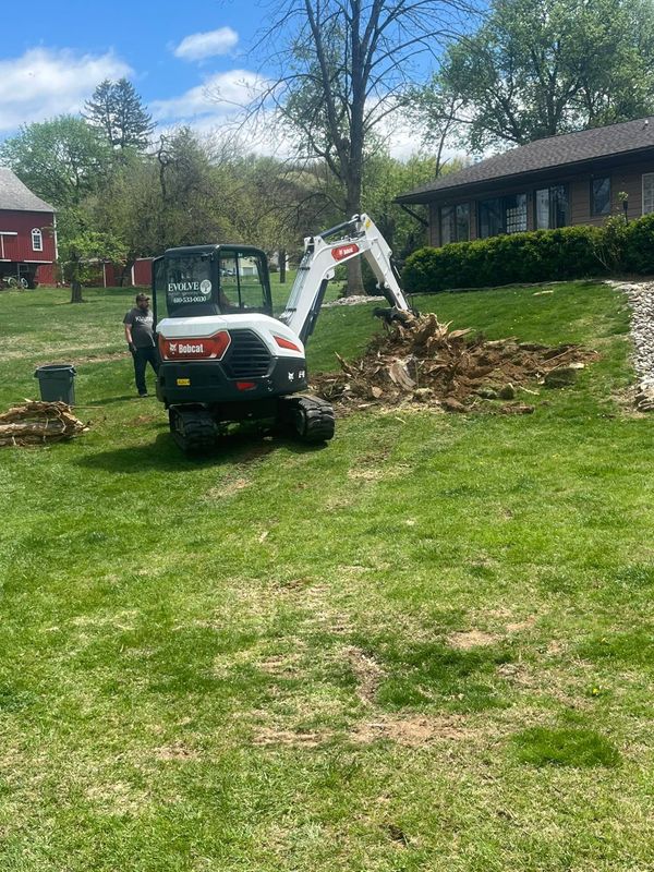 Stump Removal