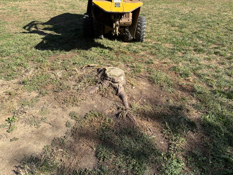 Stump Removal