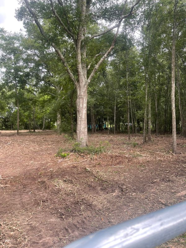 Land Clearing gallery