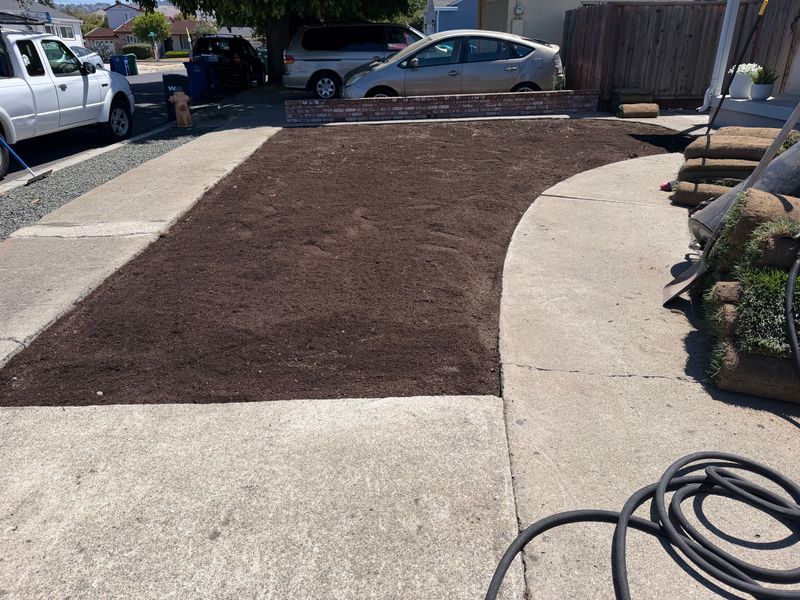 Landscaping