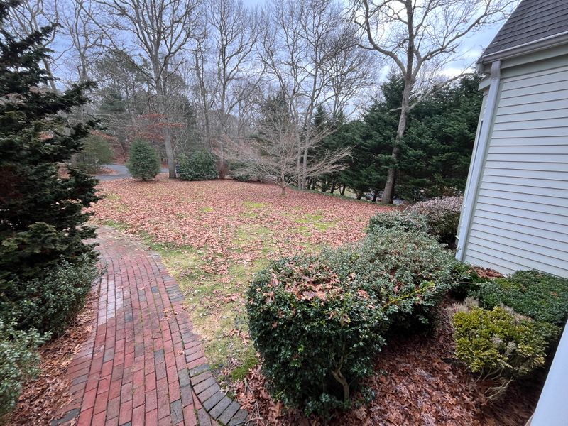 Shrub Trimming gallery