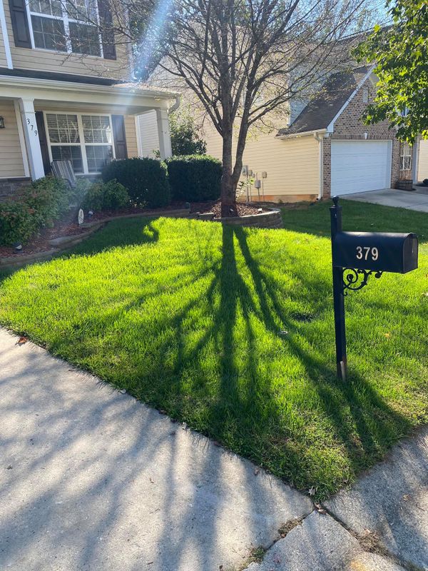 Landscape Design
