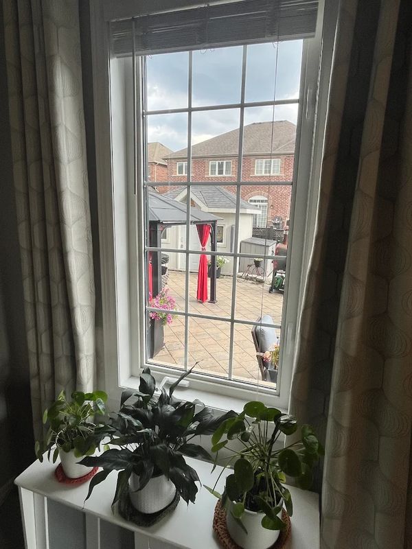 Window Cleaning