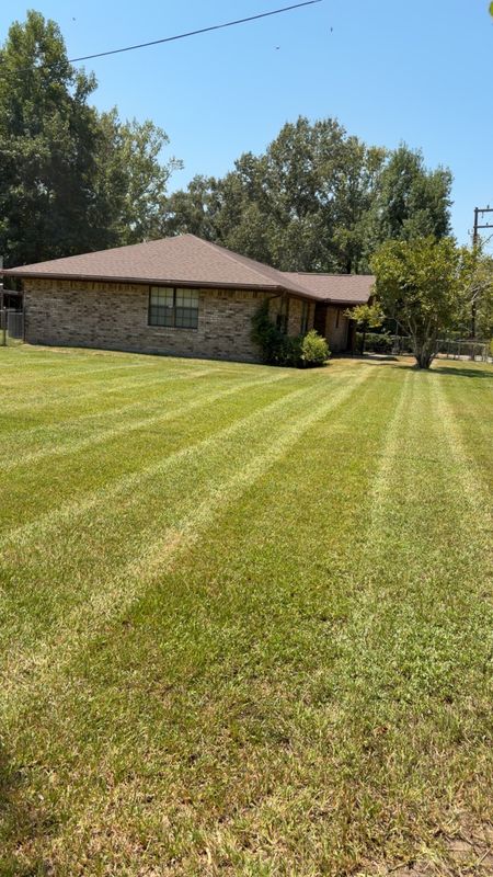 Lawn Maintenance