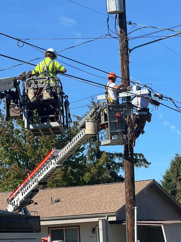 Tree Services