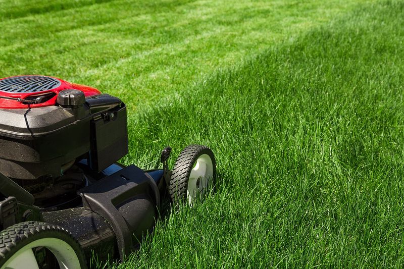 Residential Lawn Care