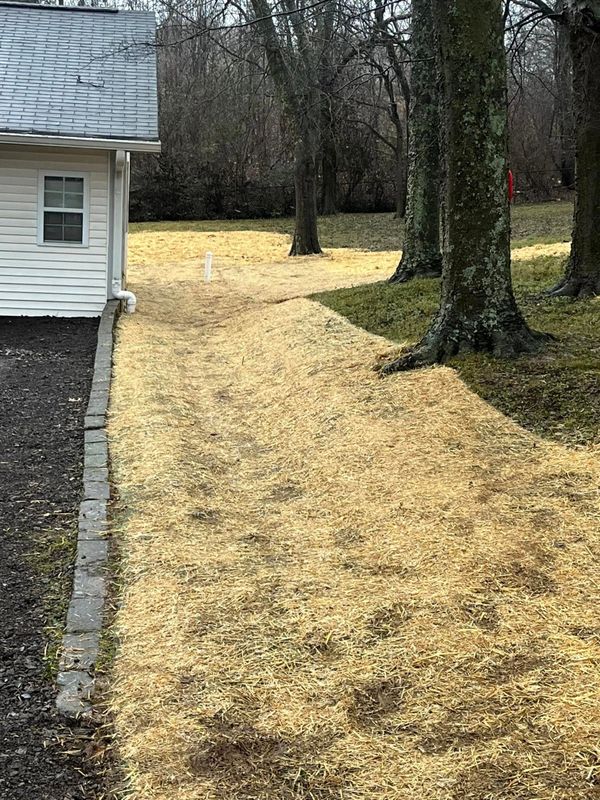 Landscaping