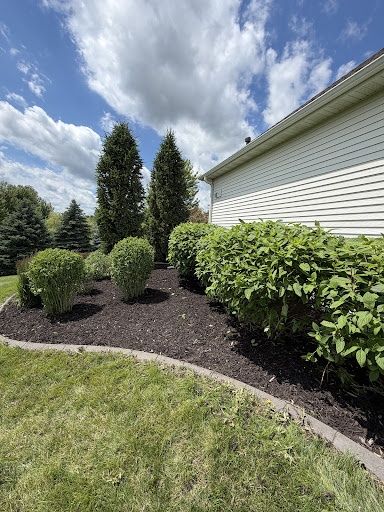 Shrub Trimming