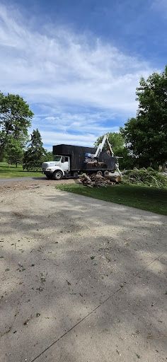 Tree Trimming