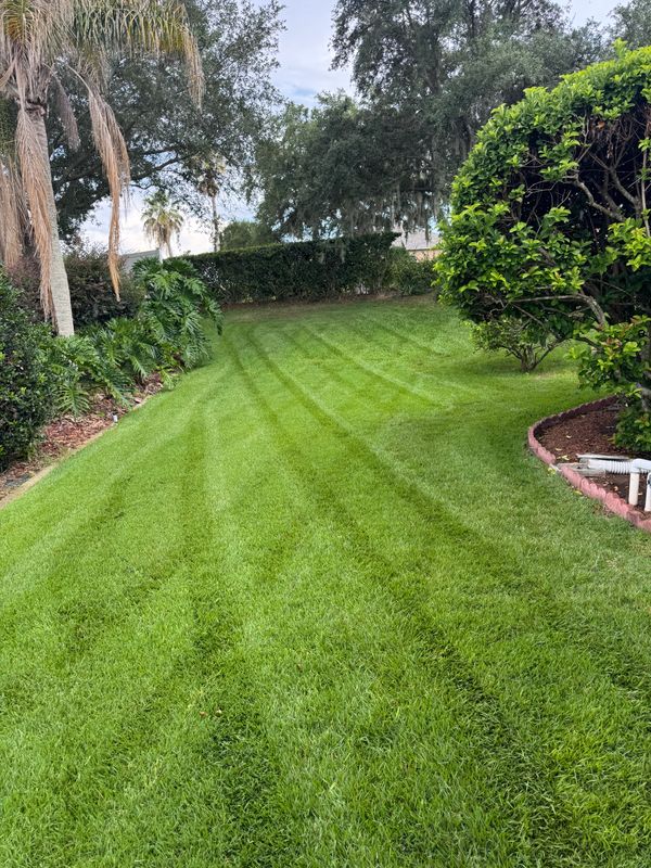 Trimming