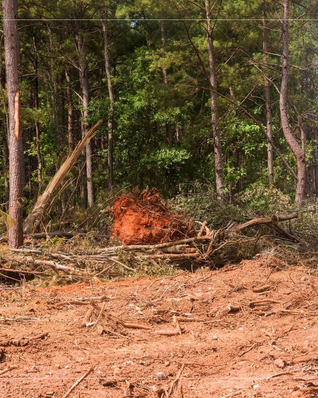 Land Clearing