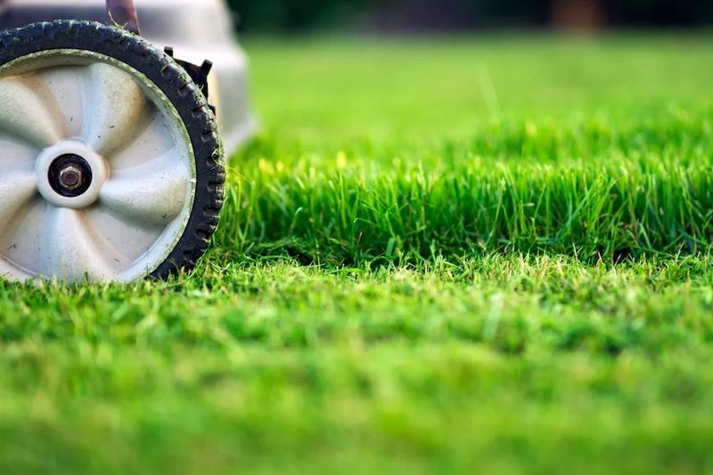 Lawn Maintenance