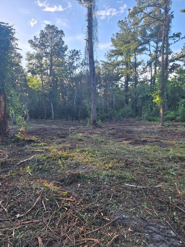 Land Clearing