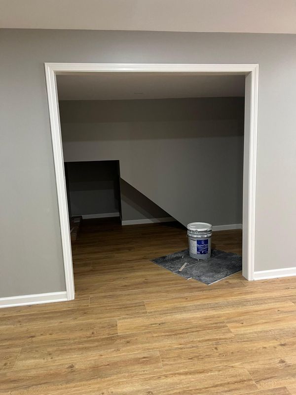 Basement Renovation