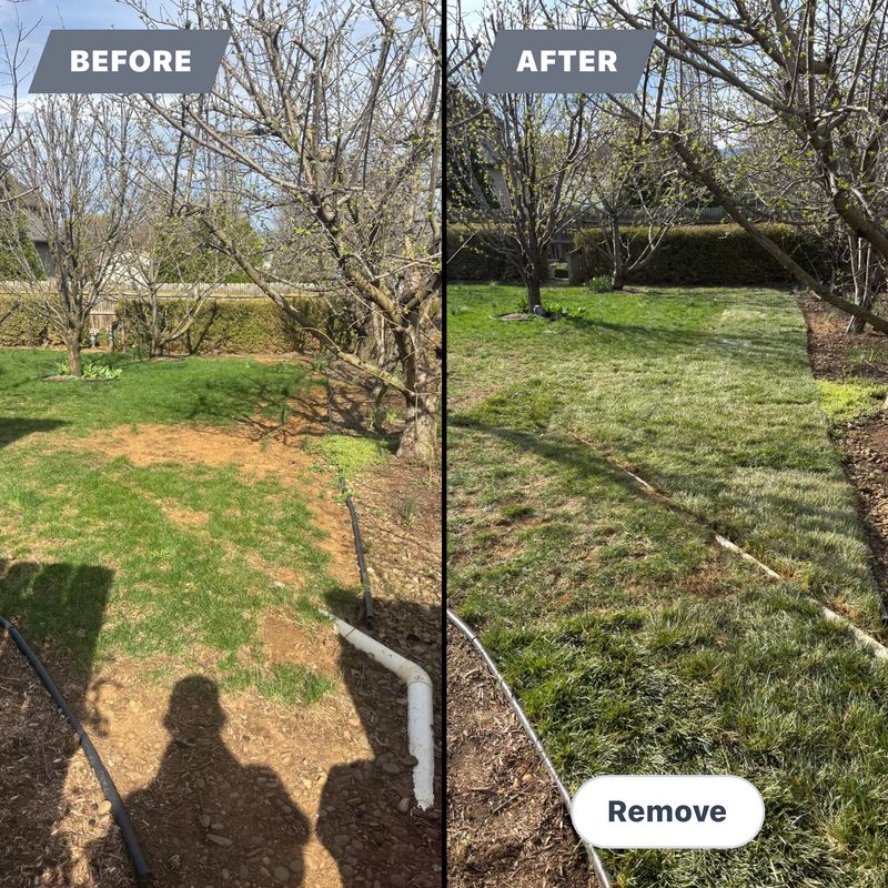 Sod Install