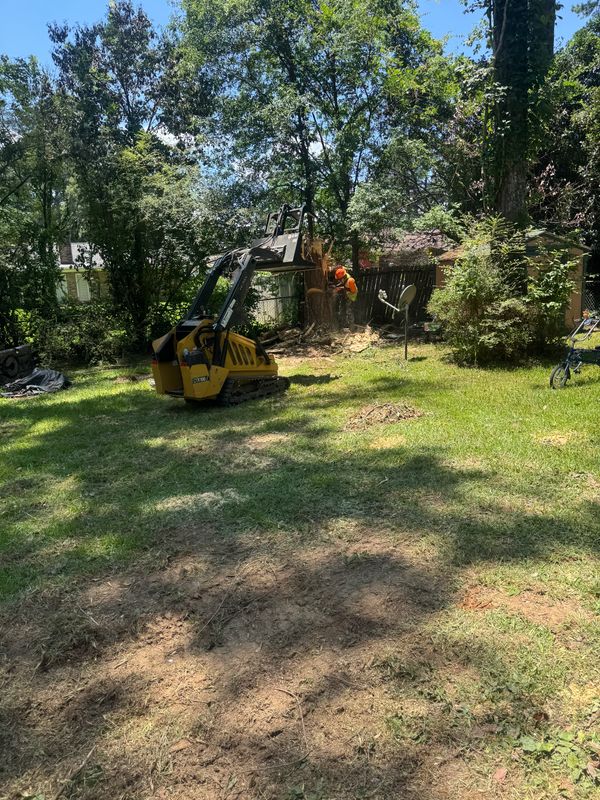 Tree Debris Removal
