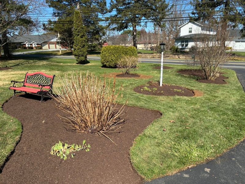 Mulch Installation