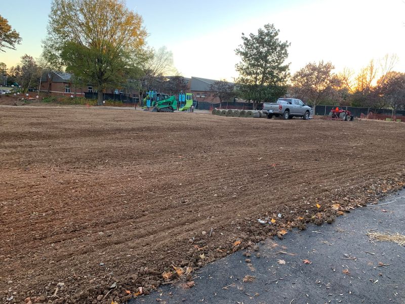 Site Preparation