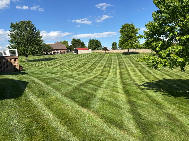 Lawn Mowing
