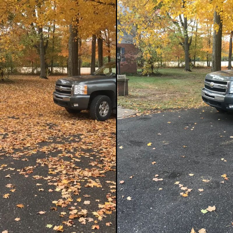 Fall Clean Up