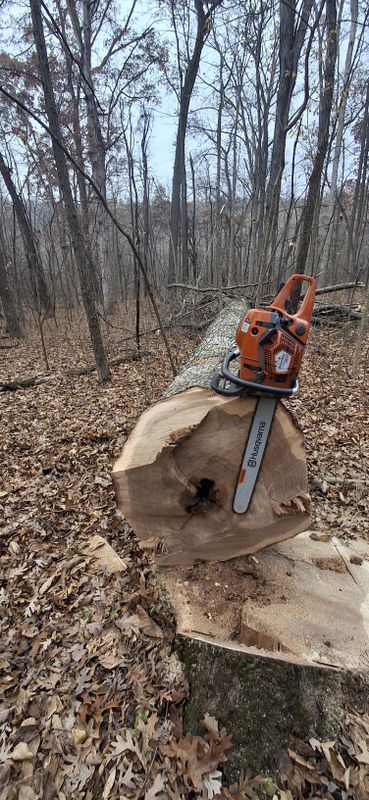 Timber Management