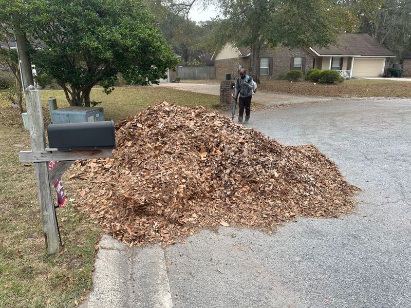 Fall Clean Up