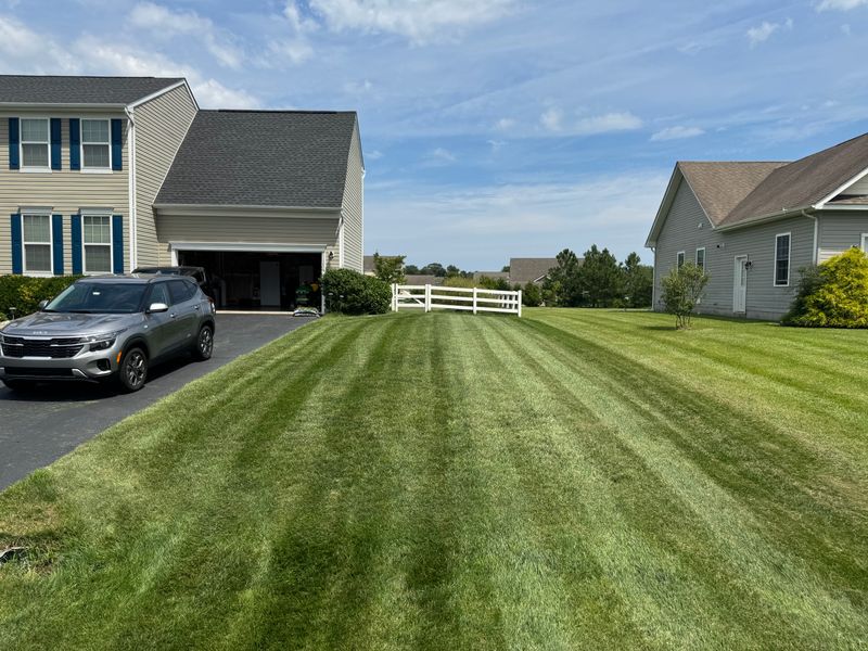 Lawn Mowing & Maintenance