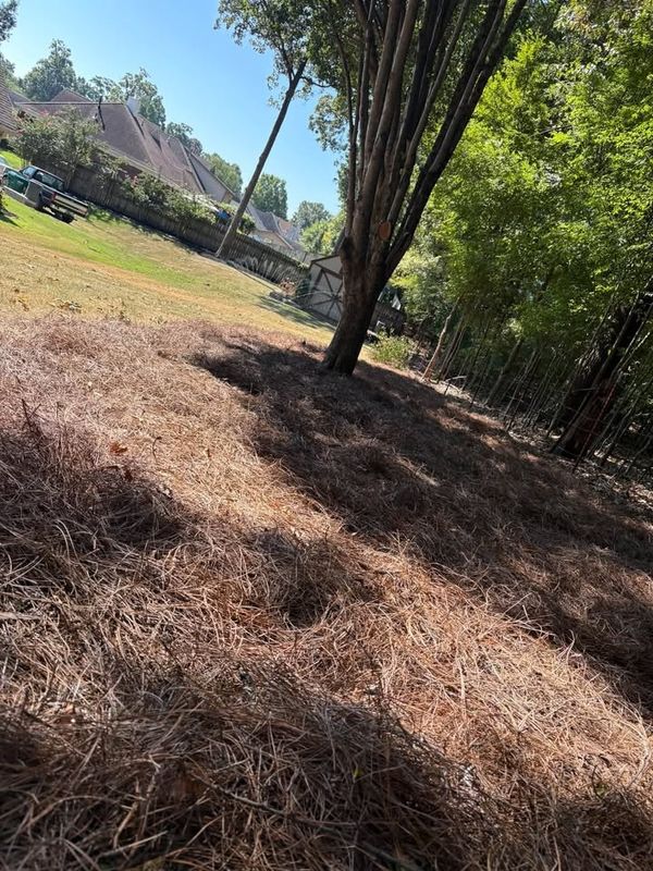 Landscaping