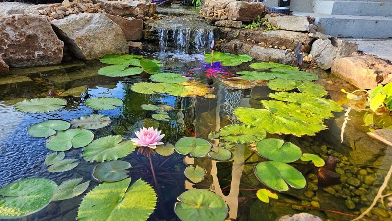 Fountain and Pond Maintenance