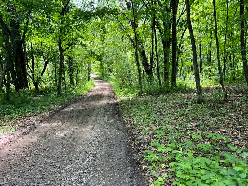 Gravel drivways