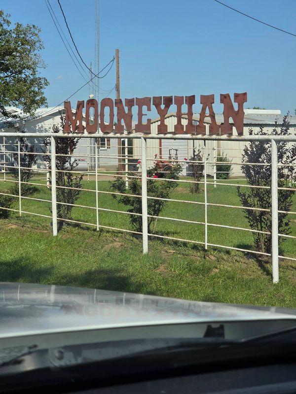 Custom Fence Design