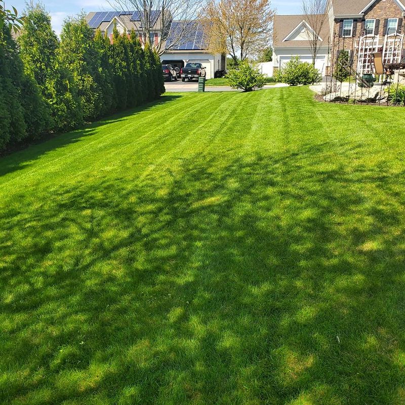 Lawn Care