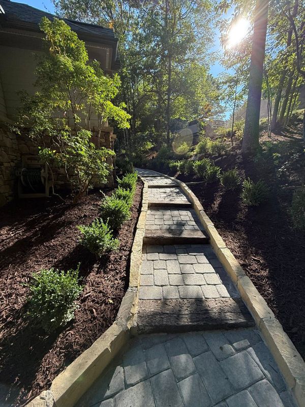 Outdoor Space Design And Maintenance