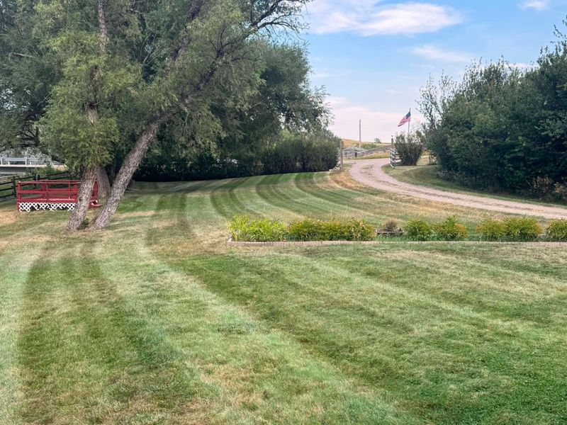 Lawn Maintenance
