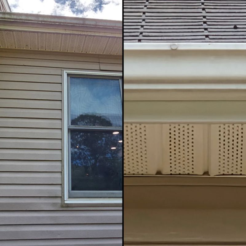 Gutter Clean/Gutter Guards