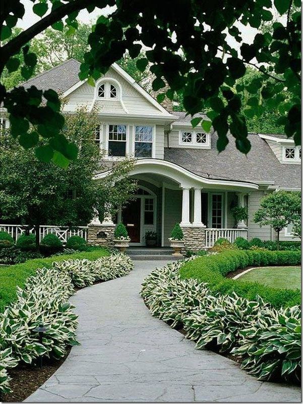 Shrub Care