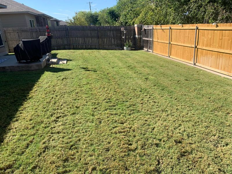 Lawn Maintenance