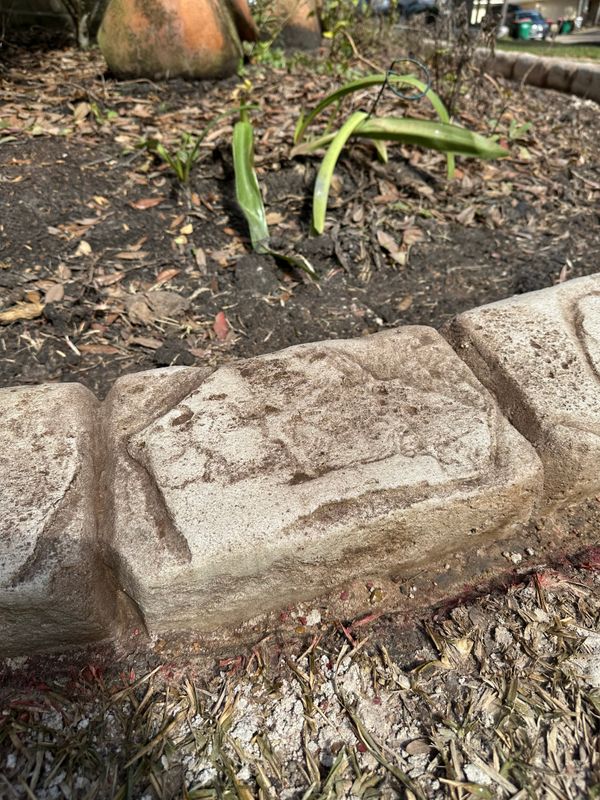 Landscape Border Systems