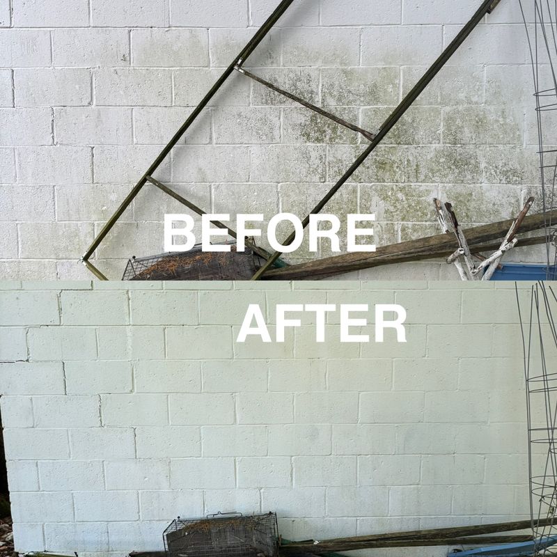 Pressure Washing 