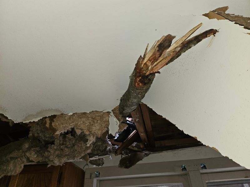 Storm Damage and Repairs