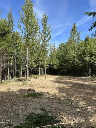 Land Clearing