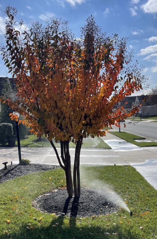 Landscaping