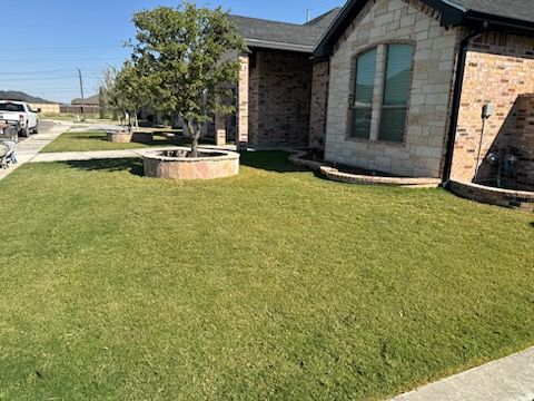 Flower beds gallery