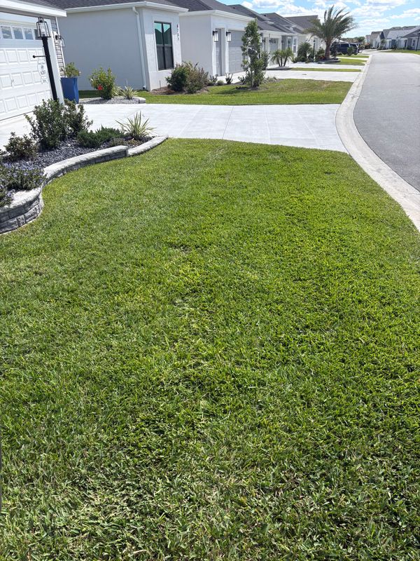 Lawn Maintenance