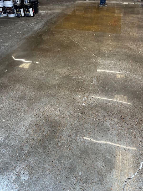Polished Concrete 