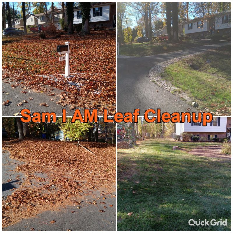 Leaf and Fall Cleanup