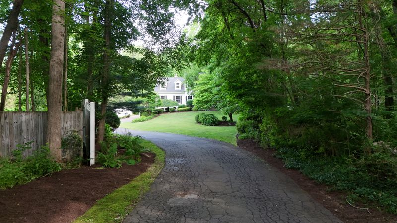 Landscape Maintenance gallery