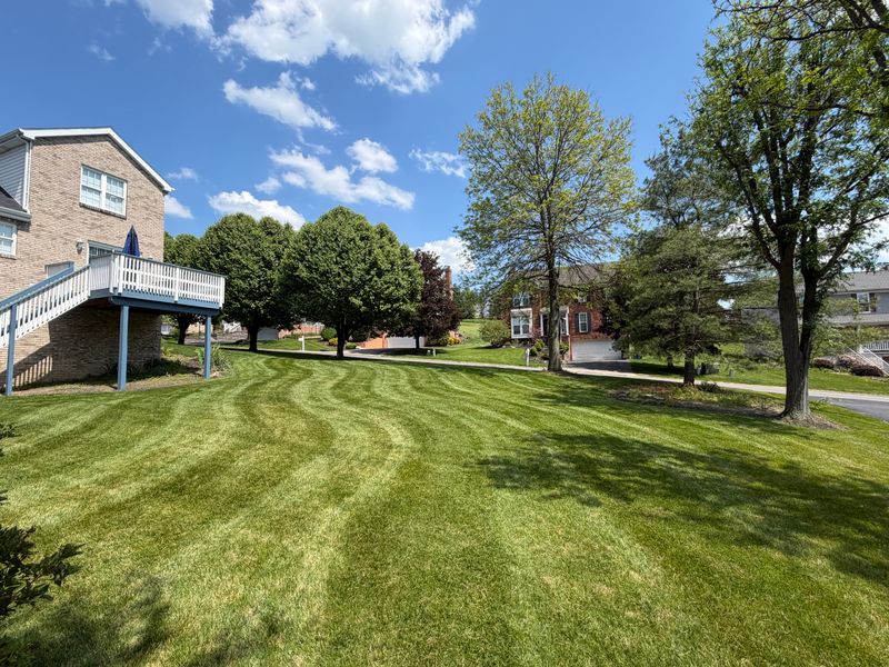 Lawn Care