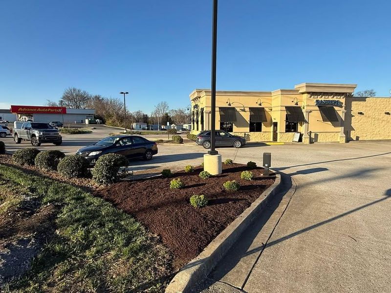 Mulch Installation